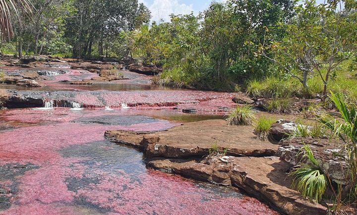 Conoce el rio de colores, la puerta de orión, cerro Azul y los pozos naturales de Guaviare