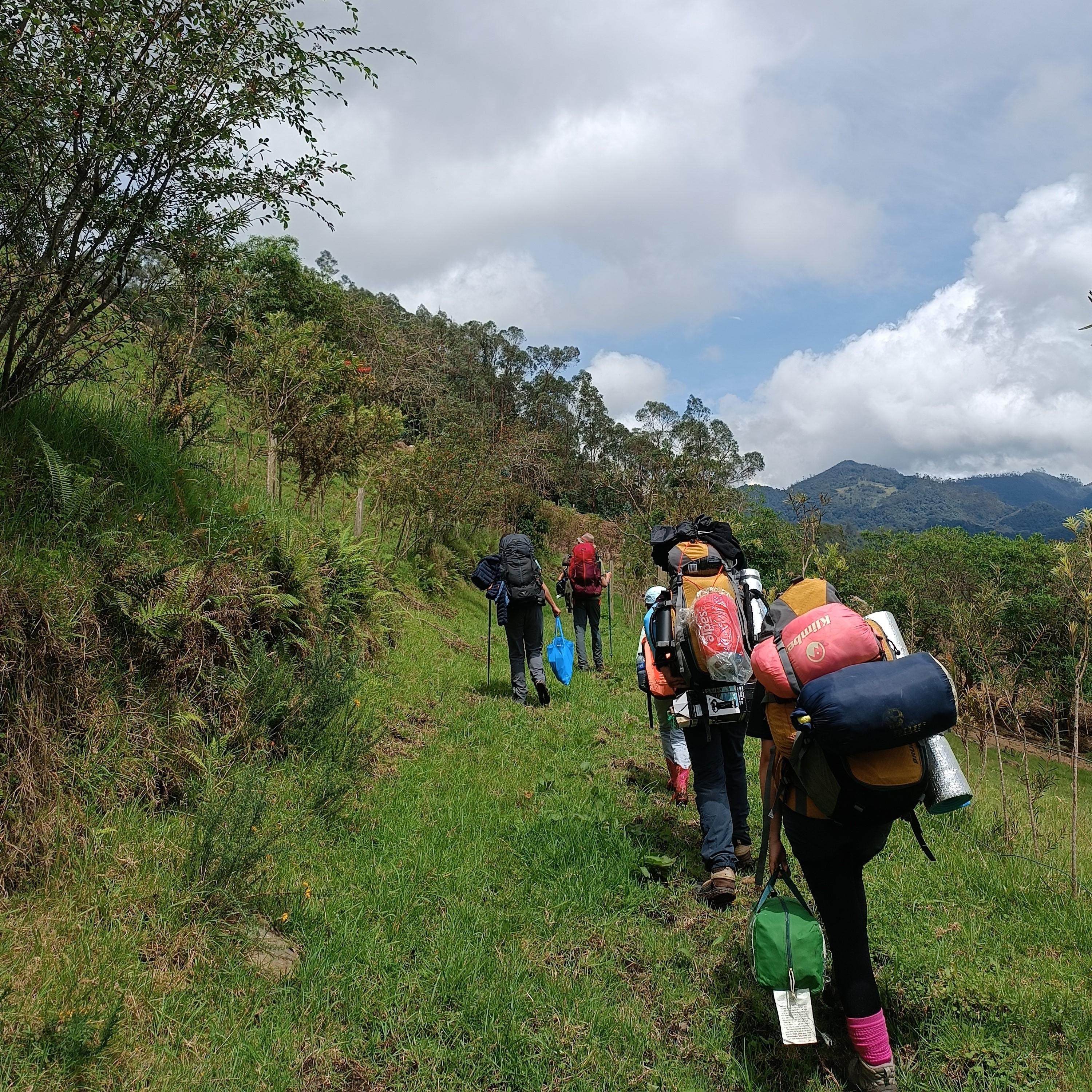 Trekking en el bosque de niebla desde Zipacón