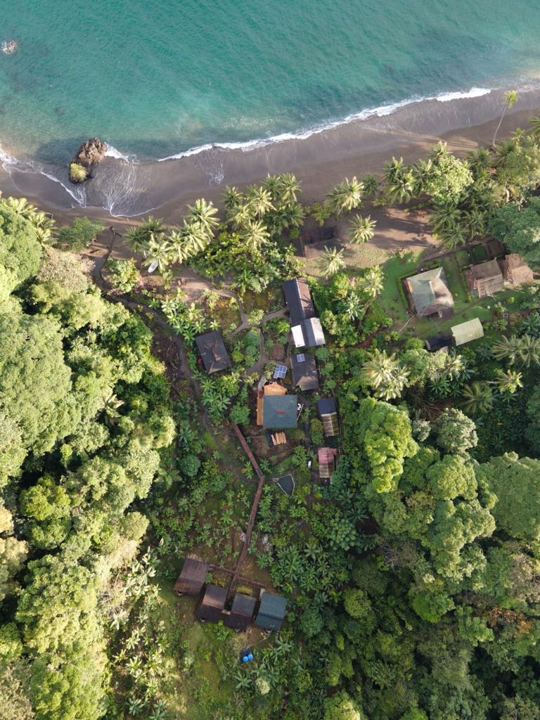 Naturaleza y desconexión en Nuquí: 4 días en Playa Guachalito, termales y cascadas