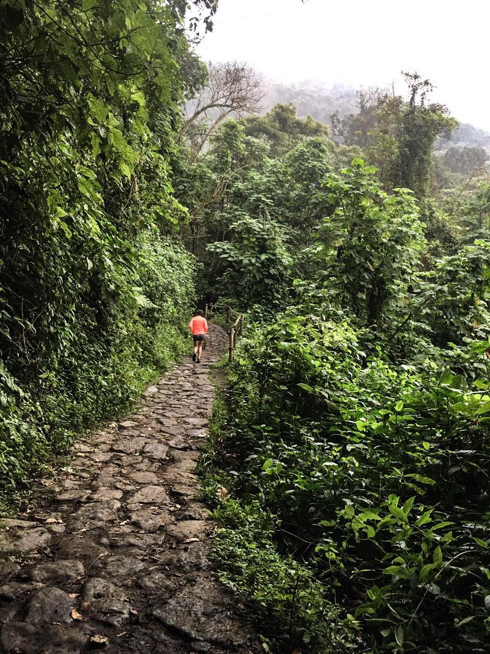 Hiking al Bosque de Niebla del Parque Natural Chicaque