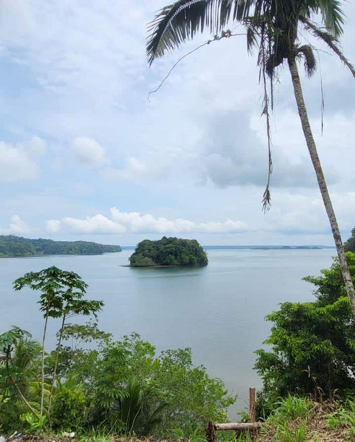 Ruta de la Piangüa y Cascadas: Vive La Sierpe desde Buenaventura